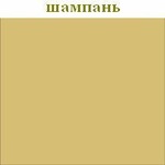 medium_shampan1