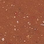 medium_1