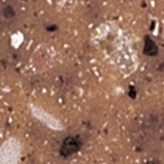 medium_18