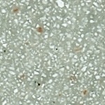 medium_22