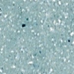 medium_3