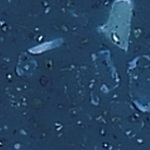 medium_4