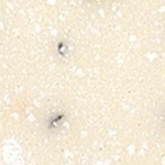 medium_7